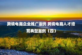 跨境电商企业推广案例 跨境电商人才培育典型案例（四）