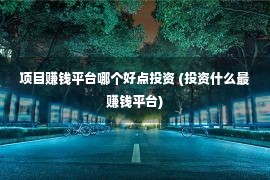 项目赚钱平台哪个好点投资 (投资什么最赚钱平台)