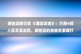 婆媳温暖日常 《墨菲定律》：巧用4招人际关系法则，婆媳间的亲密关系雷打不动