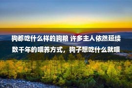 狗都吃什么样的狗粮 许多主人依然延续数千年的喂养方式，狗子想吃什么就喂什么，错了