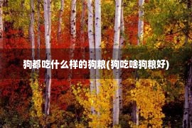 狗都吃什么样的狗粮(狗吃啥狗粮好)