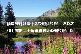 销售会计分享什么经验和经验 【匠心之作】我的二十年管理会计心得经验，都在这里了！