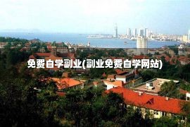 免费自学副业(副业免费自学网站)