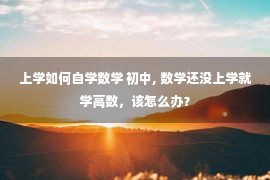 上学如何自学数学 初中, 数学还没上学就学高数，该怎么办？