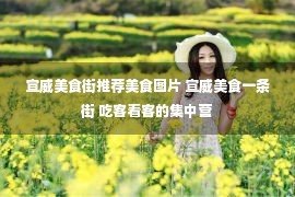 宣威美食街推荐美食图片 宣威美食一条街 吃客看客的集中营