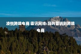 凌悦跨境电商 雷讯网络:导购营销到跨境电商