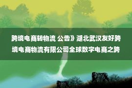 跨境电商转物流 公告》湖北武汉友好跨境电商物流有限公司全球数字电商之跨境电商