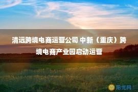 清远跨境电商运营公司 中新（重庆）跨境电商产业园启动运营