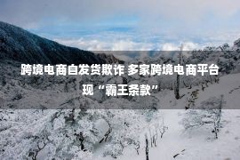 跨境电商自发货欺诈 多家跨境电商平台现“霸王条款”