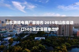 山东跨境电商厂家排名 2019年山东省进口100强企业榜单出炉