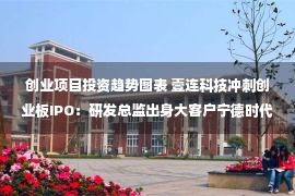 创业项目投资趋势图表 壹连科技冲刺创业板IPO：研发总监出身大客户宁德时代，后者营收占比达六成