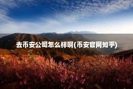 去币安公司怎么样啊(币安官网知乎)