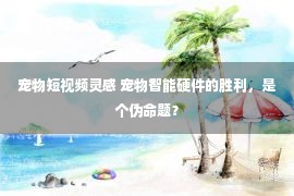 宠物短视频灵感 宠物智能硬件的胜利，是个伪命题？