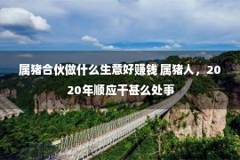 属猪合伙做什么生意好赚钱 属猪人，2020年顺应干甚么处事