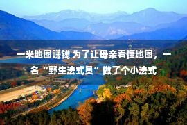 一米地图赚钱 为了让母亲看懂地图，一名“野生法式员”做了个小法式