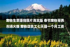 宠物生意赚钱图片真实版 春节宠物寄养市场火爆 宠物店员工七天赚一个月工资