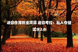 迷你仓库创业项目 迷你考拉：私人仓储试水2.0