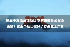 家庭小冷库赚钱项目 农村里做什么买卖赚钱？这五个项目做好了秒杀北上广白领