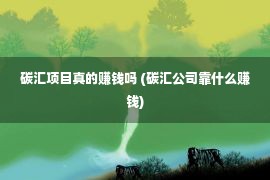 碳汇项目真的赚钱吗 (碳汇公司靠什么赚钱)