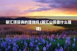 碳汇项目真的赚钱吗 (碳汇公司靠什么赚钱)