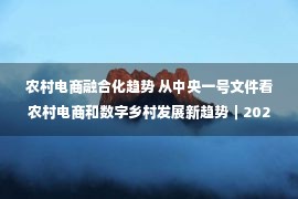 农村电商融合化趋势 从中央一号文件看农村电商和数字乡村发展新趋势︱2022年中央一号文件解读