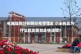 电商趋势分析网站推荐理由 小米有品为什么能发展如此快速呢？