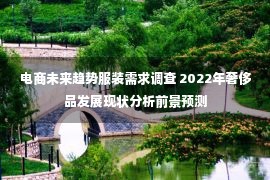 电商未来趋势服装需求调查 2022年奢侈品发展现状分析前景预测