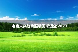 电商未来趋势服装需求调查 2023