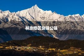 林念修区块链公链 