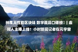 神鹿高性能区块链 数字藏品口碑榜㉕丨虚拟人主播上线！小时新闻记者在元宇宙里上岗