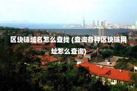 区块链域名怎么查找 (查询各种区块链网址怎么查询)