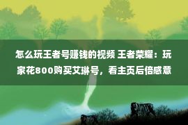 怎么玩王者号赚钱的视频 王者荣耀：玩家花800购买艾琳号，看主页后倍感意外，网友：血赚