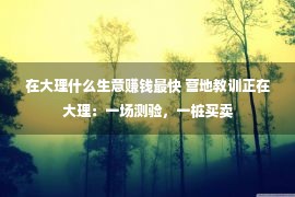 在大理什么生意赚钱最快 营地教训正在大理：一场测验，一桩买卖