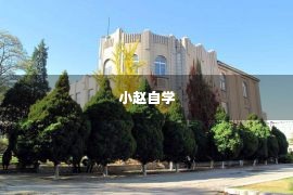 小赵自学