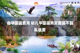 自学国画费用 幼儿学国画另交费算不算乱收费