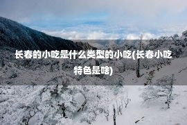 长春的小吃是什么类型的小吃(长春小吃特色是啥)