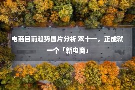 电商目前趋势图片分析 双十一，正成就一个「新电商」