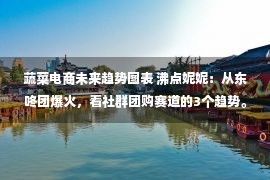 蔬菜电商未来趋势图表 沸点妮妮：从东咚团爆火，看社群团购赛道的3个趋势。