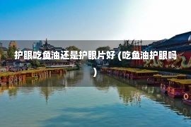 护眼吃鱼油还是护眼片好 (吃鱼油护眼吗)