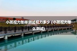 小孩视力怎样测试视力多少 (小孩视力怎么测试)