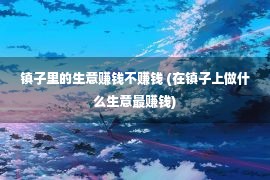 镇子里的生意赚钱不赚钱 (在镇子上做什么生意最赚钱)