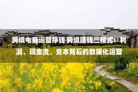 跨境电商运营挣钱 跨境赚钱三模式：利润、现金流、资本背后的数据化运营