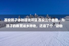 西安孩子体验赚钱项目 西安三个爸爸，为孩子的教育返乡种地，还造了个“动物园”