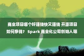 商业项目哪个好赚钱快又赚钱 开源项目如何挣钱？ Spark 商业化公司创始人曝光心路历程