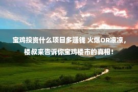 宝鸡投资什么项目多赚钱 火爆OR凉凉，楼叔来告诉你宝鸡楼市的真相！