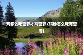 鸡怎么吃营养才高营养 (鸡胗怎么吃有营养)