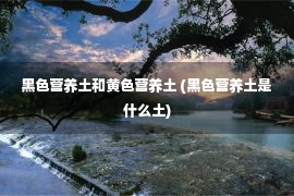 黑色营养土和黄色营养土 (黑色营养土是什么土)