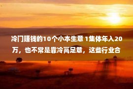 冷门赚钱的10个小本生意 1集体年入20万，也不常是靠冷高足意，这些行业合作大销路却没有愁