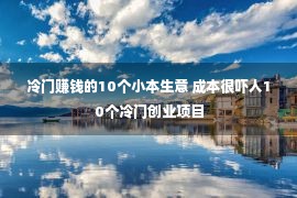 冷门赚钱的10个小本生意 成本很吓人10个冷门创业项目