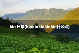 kin 日常(kinkinkinkinkin什么歌)